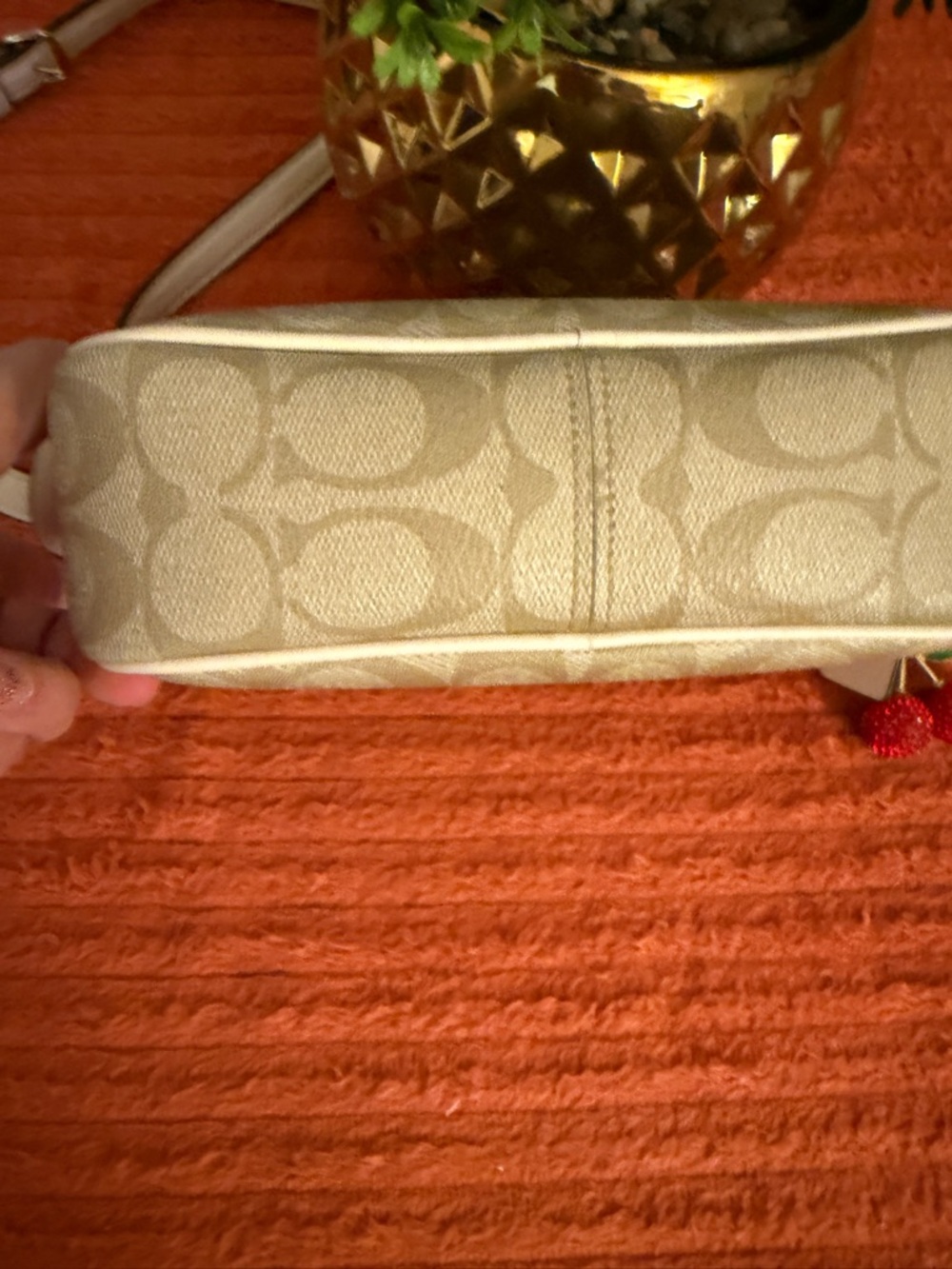 Coach Signature Monogram Crossbody Bag in Beige - Picture 10 of 16